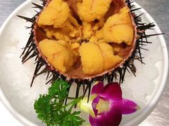 -大吉鲜鱼料理自慢(维也纳大厦店)