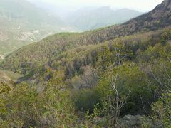 -白草畔自然风景区