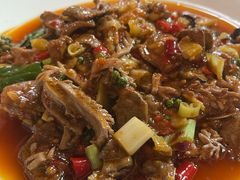 -青城甲(青城山店)