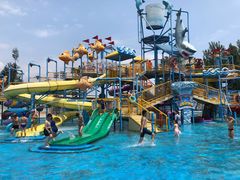 -海盗传奇水世界