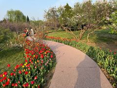 -石家庄市植物园