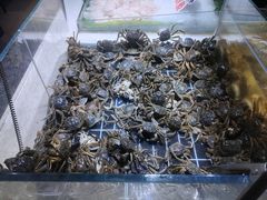 -聚盛源蒸汽海鲜火锅烤肉自助(巨川金海岸购物广场店)