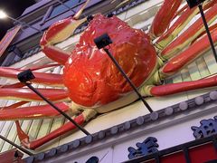 -蟹道乐(道顿堀本店)