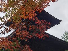 -常寂光寺