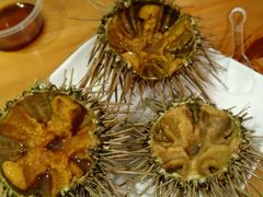 -海胆小馆(东北水饺·春柳店)