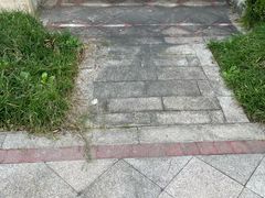 -柏萃动物医院·骨科·牙科