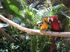 -杭州开元森泊度假乐园