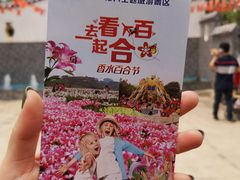 -松山湖梦幻百花洲