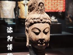 -洛阳博物馆