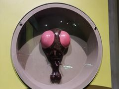 -天津自然博物馆