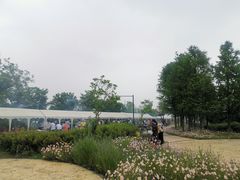 -菊园百果园