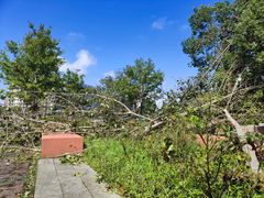 -春花秋色城市公园