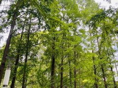 -苏州河梦清园环保主题公园