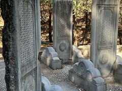 -北京鹫峰国家森林公园