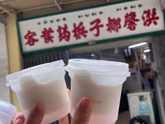-洪馨椰子