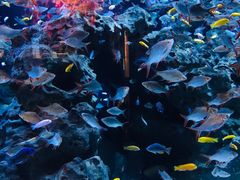 -成都浩海立方海洋公园