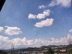 -四川农业大学(雅安校区)