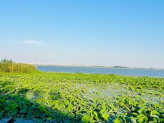 -七的湖·晚芳亭·阳澄湖农家菜·大闸蟹(莲花岛店)