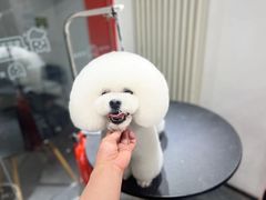 -宠物家(双井店)