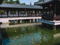 -江心屿景区