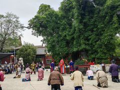 -大槐树寻根祭祖园