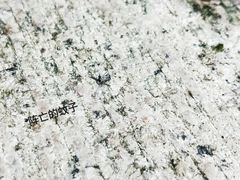 -墨池公园