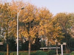 -八大关景区