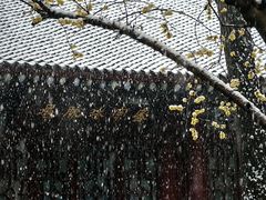 -西安大兴善寺
