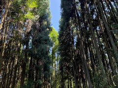 -山王坪喀斯特国家生态公园