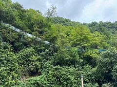 -鹿院坪生态旅游景区