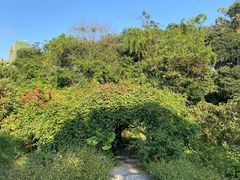 -广西壮族自治区药用植物园