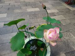 -西安市广仁寺
