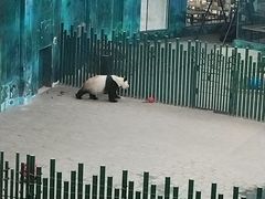-沈阳森林动物园