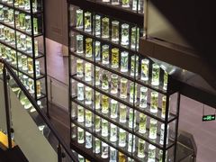 -广东中医药博物馆