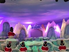 -帝企鹅自助餐厅•儿童岛•真企鹅(长隆企鹅酒店)