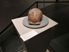 -北京周口店北京人遗址博物馆