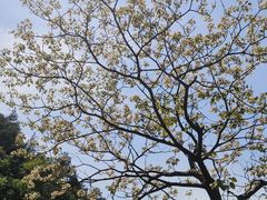 -溪口-滕头旅游景区