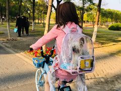 -上海海事大学(临港校区)