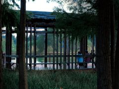 -贡湖湾湿地公园