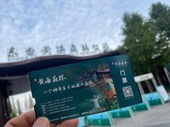 -黄海国家森林公园