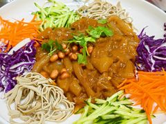 东北大拉皮-八次方密云水库鱼粘卷子·熏鸽子·农家菜
