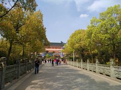 -高旻寺