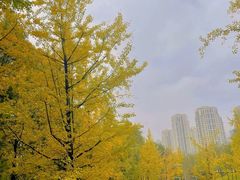 -重庆中央公园(渝北区)