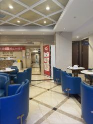 -碧莲盛·不剃发植发