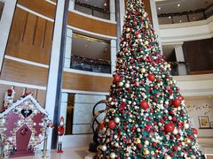 -深圳星河丽思卡尔顿酒店