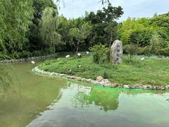 -杭州野生动物世界
