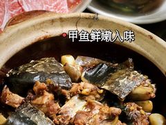 -金龙·打边炉(南京西路店)