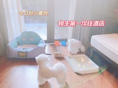 -上海崇明金茂凯悦酒店