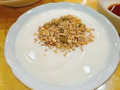 酸奶-新疆巴州金丝特餐厅(大钟寺店)