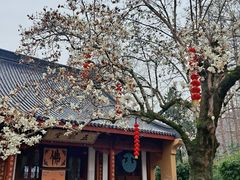 -杭州上天竺法喜讲寺